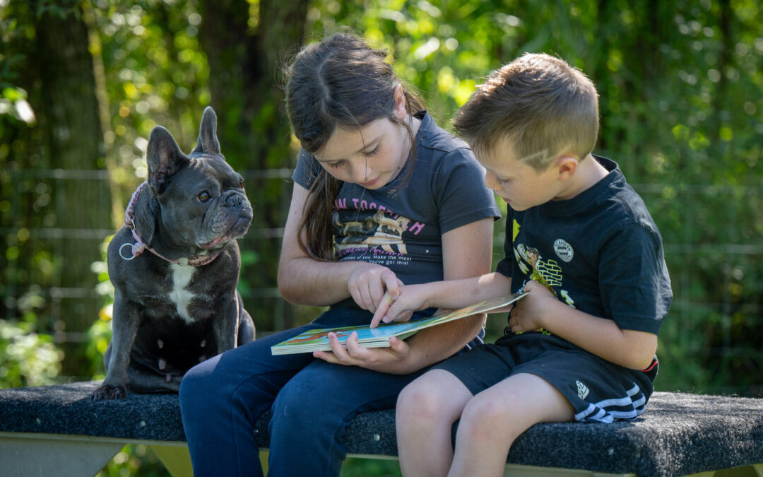 NEU!!! Ausbildung von Mensch-Hunde-Teams für die tiergestützte Intervention